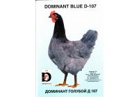 Яйцо инкубационное Доминант D107 - Голубой Россия