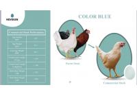Яйцо инкубационное Novogen Color Blue Яйцо инкубационное Novogen Color Blue