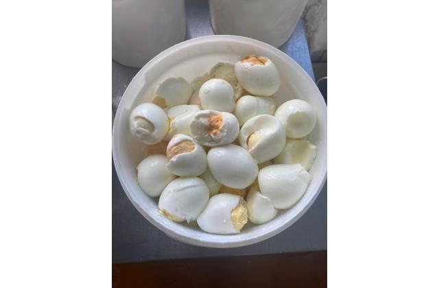 Яйцо куриное вареное чищенное для начинок и салатов