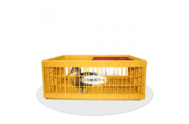 Ящик для перевозки птицы с крышкой 1-60