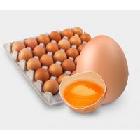 Яйцо куриное для промышленной переработки 