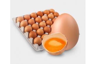 Яйцо куриное для промышленной переработки Сусанинское