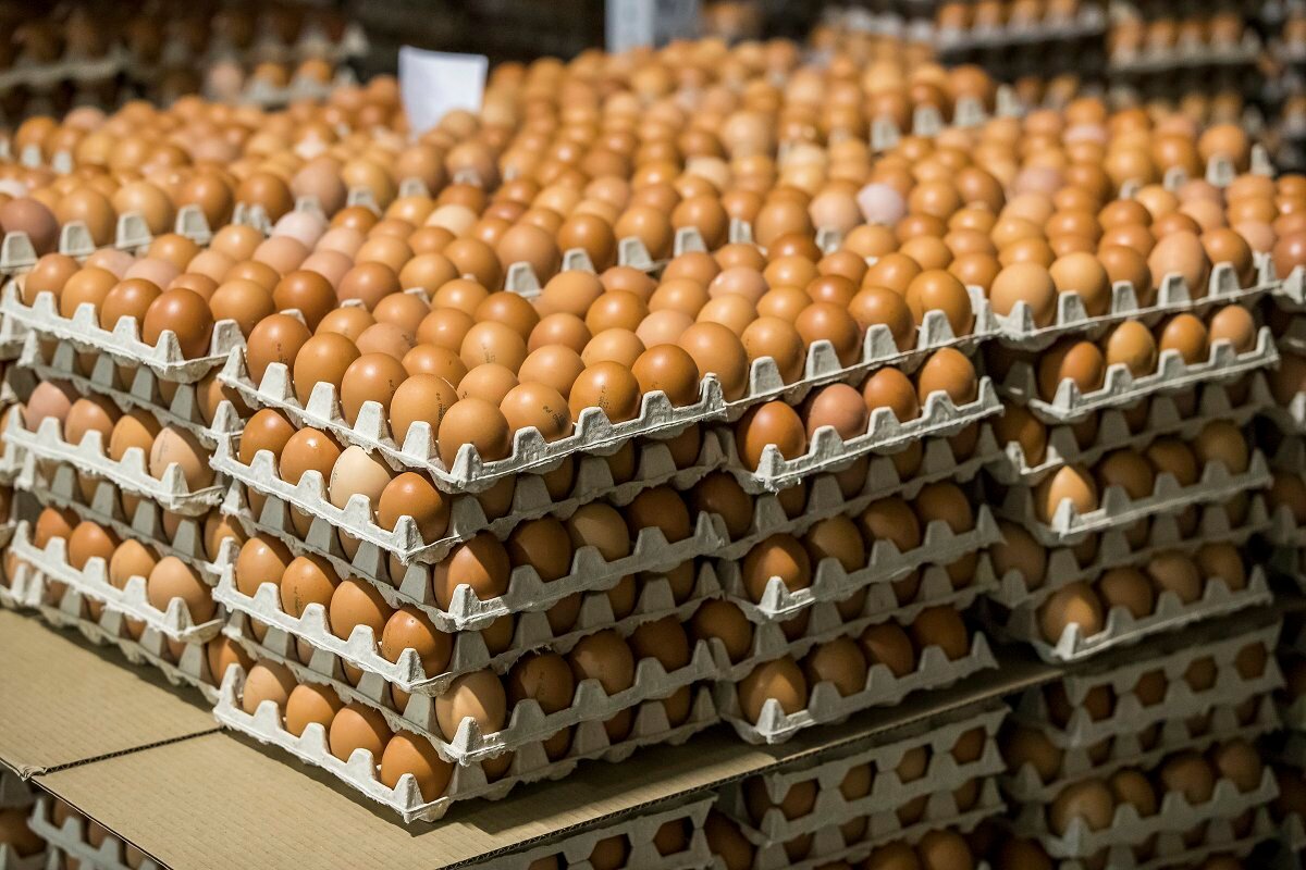 Категории яиц куриных СВ, СО, С1, С2, С3 Что обозначают